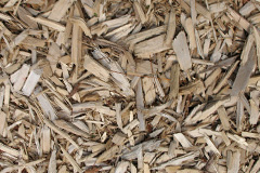 biomass boilers Arkleton